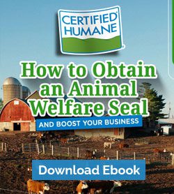 How to Obtain an Animal Welfare Seal and Boost your Business