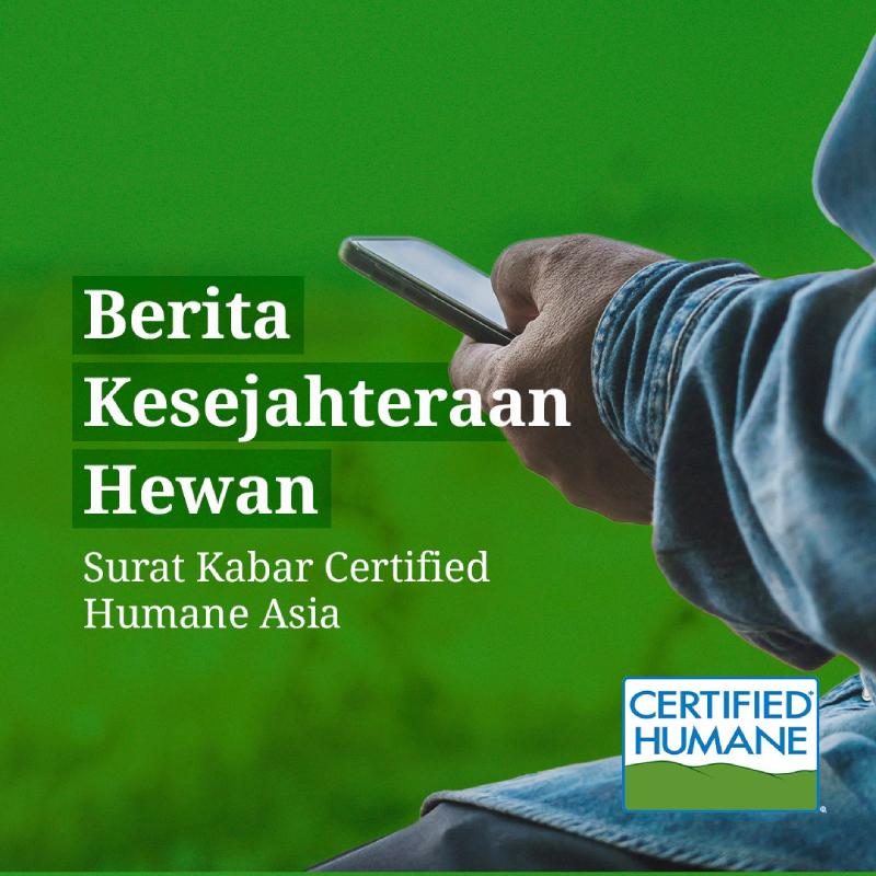 Berita Kesejahteraan Hewan Surat Kabar Certified Humane Asia